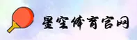 使用指南与常见问题